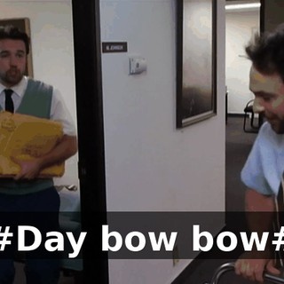 #Day bow bow#