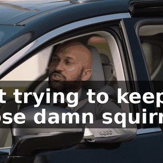 just trying to keep those damn squirrels