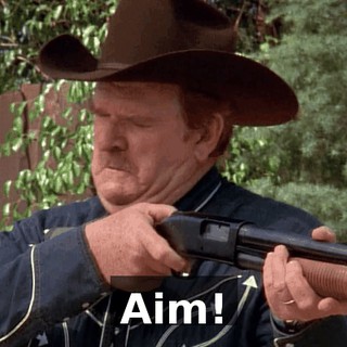 Aim!