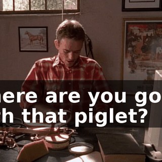 Where are you going with that piglet?