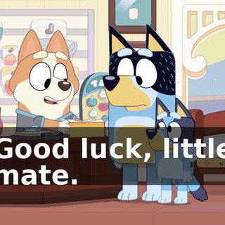 e51a6c09-7aca-4d33-bd27-014652ceada3.gif