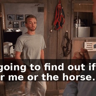 I'm going to find out if this is for me or the horse.