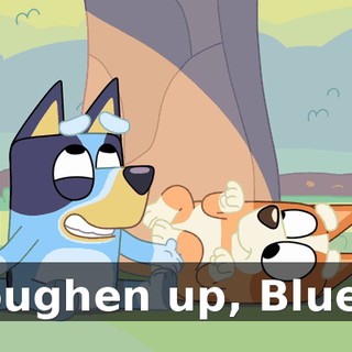 e54c1a98-c9b0-4b65-abe8-ca580083fdfe.gif