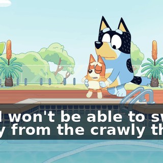 e594576b-2e8c-4b7f-a9d7-cf21b13acc0a.gif