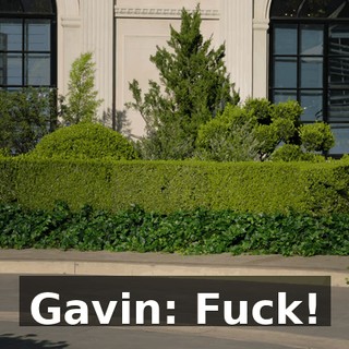 Gavin: Fuck!