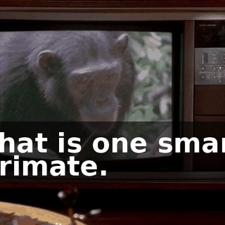 e61490e1-321e-4a48-86e7-8e3cc74103cc.gif