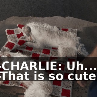 e623dda9-f1e8-4cff-b7e0-cf33adb90938.gif