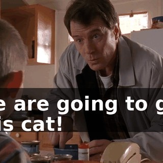 We are going to get this cat!