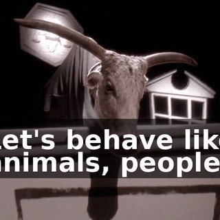 Let's behave like animals, people.