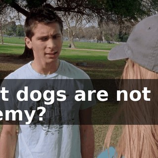 that dogs are not our enemy?
