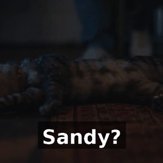 e6b10e46-4828-4289-94fd-ebf932c5f1c5.gif