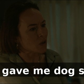 You gave me dog shit?