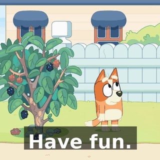 Have fun.