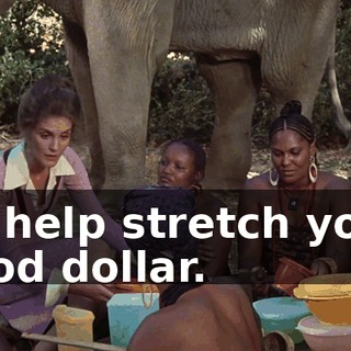 to help stretch your food dollar.