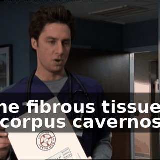 e73c1e8c-2920-47b7-9828-337c9bbd821c.gif