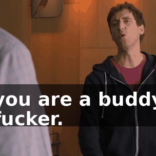 you are a buddy fucker.