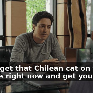 I can get that Chilean cat on the phone right now and get you paid.