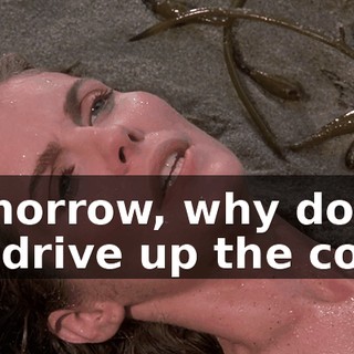 Tomorrow, why don't we drive up the coast
