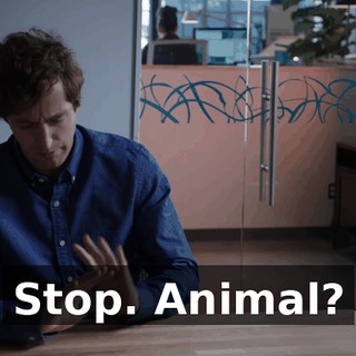 e7e2306a-454b-40b2-9555-cd56a8bf4b96.gif