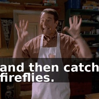 and then catch fireflies.
