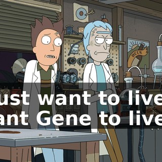 e7fe5e9c-30c0-4fda-a09e-9d748116ef09.gif
