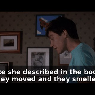e81d2e37-da57-4e0f-a048-5d6c3d7d28f1.gif