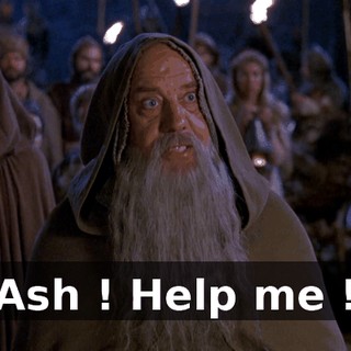 Ash ! Help me !