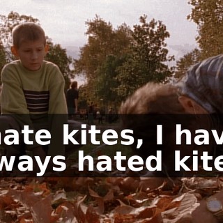 I hate kites, I have always hated kites!