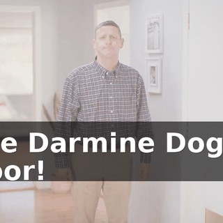 The Darmine Doggy Door!