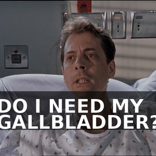 e8c7ed02-13cb-4e0b-88c5-78c1a919e9cd.gif