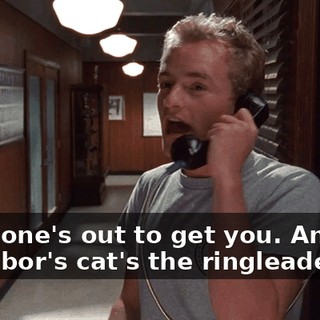 Everyone's out to get you. And the neighbor's cat's the ringleader.