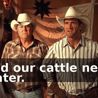 and our cattle need water.