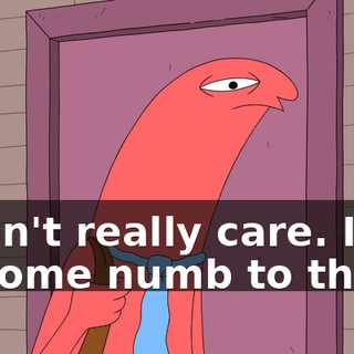 I don't really care. I've become numb to them.