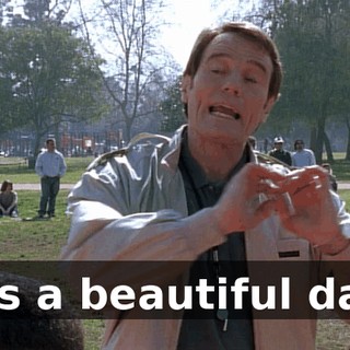 It's a beautiful day.