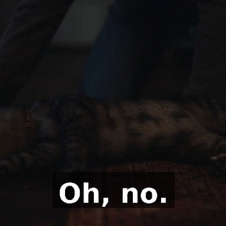 ea9f2dfa-a7f3-455e-80a4-c478bad81d5c.gif