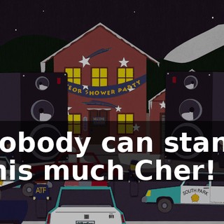 Nobody can stand this much Cher!