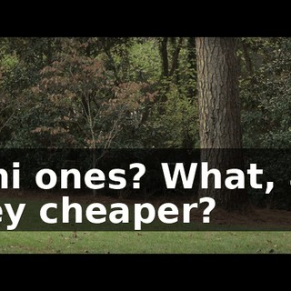 Mini ones? What, are they cheaper?