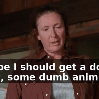 Maybe I should get a dog or a rat, some dumb animal