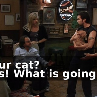 - Your cat? - Yes! What is going on?