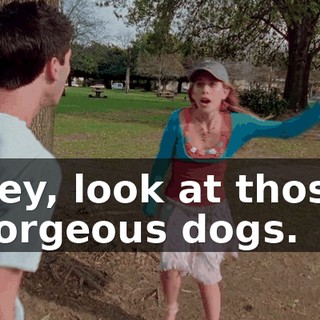 Hey, look at those gorgeous dogs.