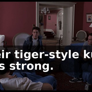 Their tiger-style kung fu is strong.