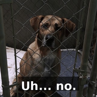 eb5581f1-1762-4a7c-aea3-43cc5213f637.gif