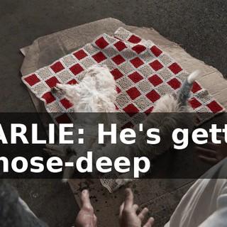 eb69ae30-d54c-4766-aba7-ecb01b9c02c4.gif