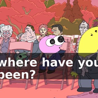 where have you been?
