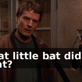 That little bat did all that?