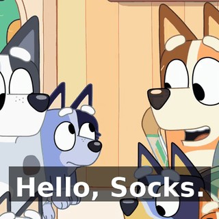Hello, Socks.