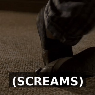 (SCREAMS)