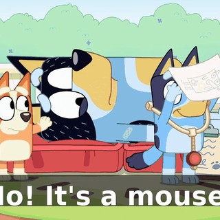 No! It's a mouse!