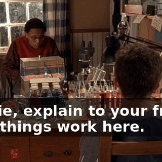 Stevie, explain to your friend how things work here.