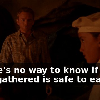 There's no way to know if what you gathered is safe to eat.